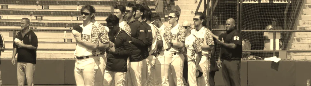 Duluth Huskies