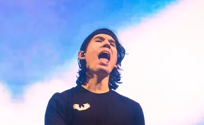 Gryffin