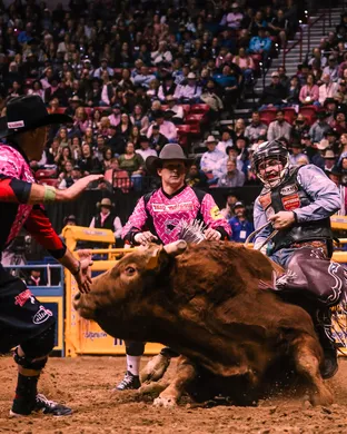 Rodeo