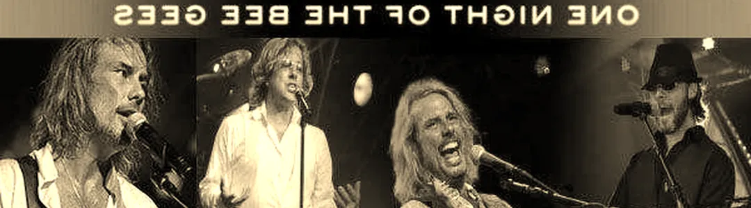 Stayin' Alive - One Night of the Bee Gees