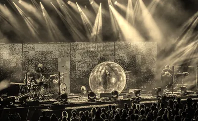 The Flaming Lips
