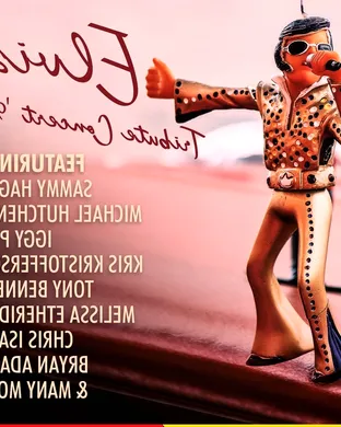 The Ultimate Elvis Tribute