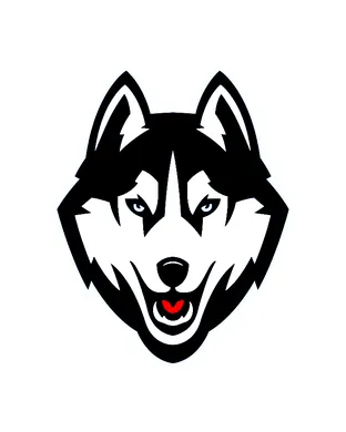 UConn Huskies vs. Duke Blue Devils sports event